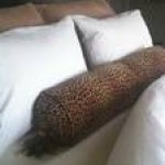 Confessions of a Sheet Snob